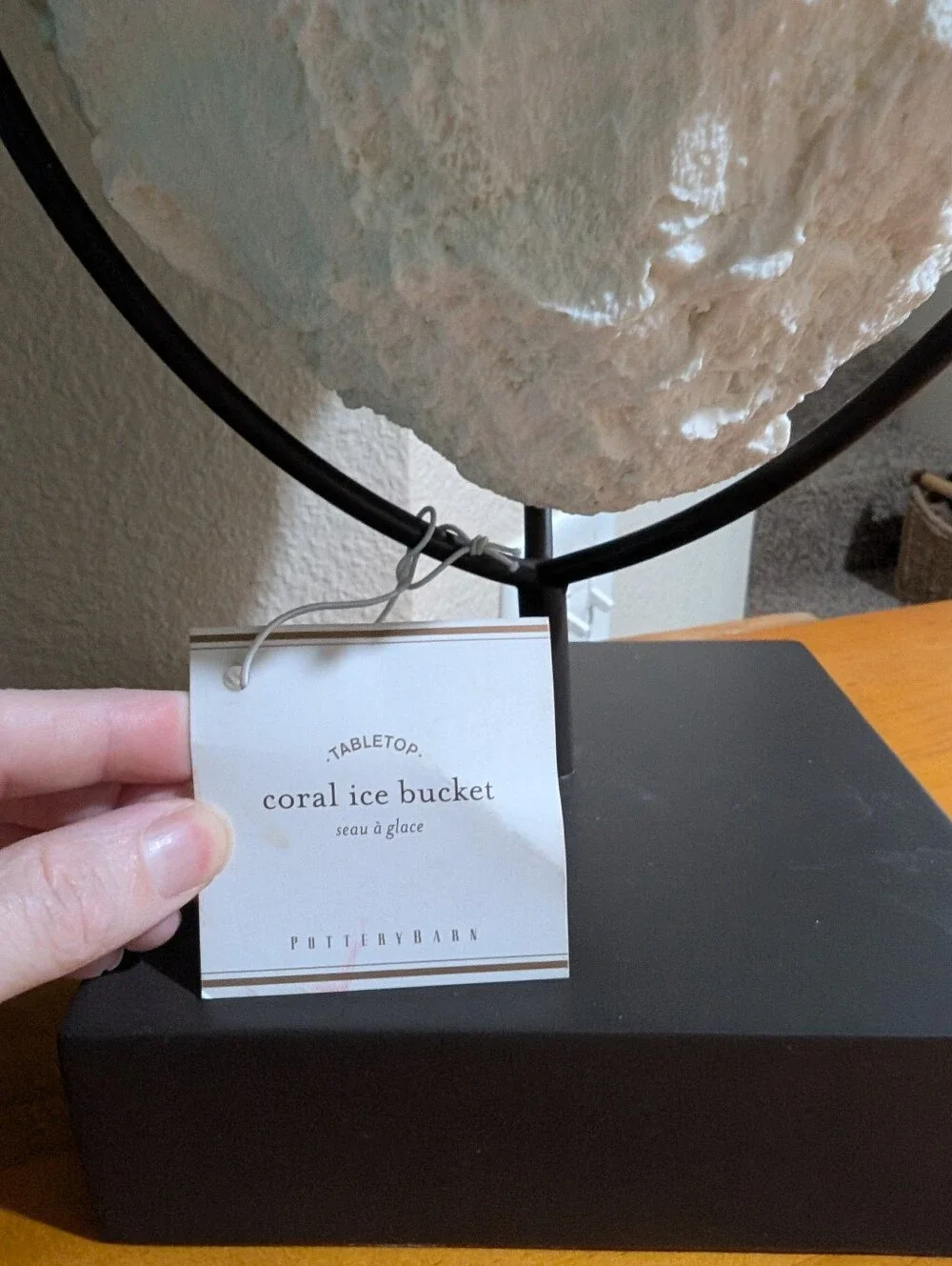 Pottery Barn Coral Sea Shell Ice Wine Bucket